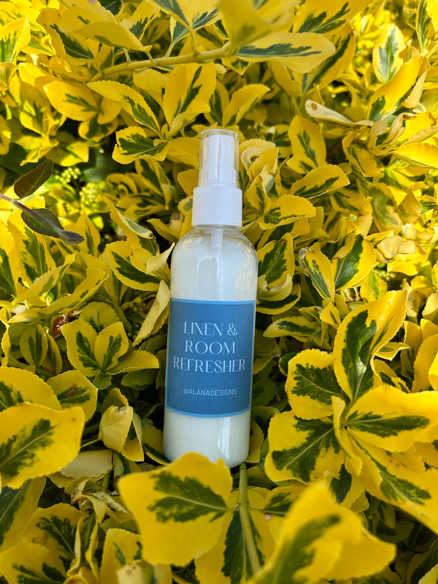 Room Spray - Standard Collection