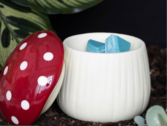 Mushroom Burner