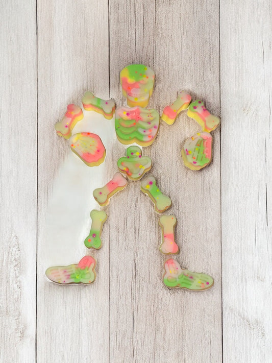 Large Colourful Skeleton